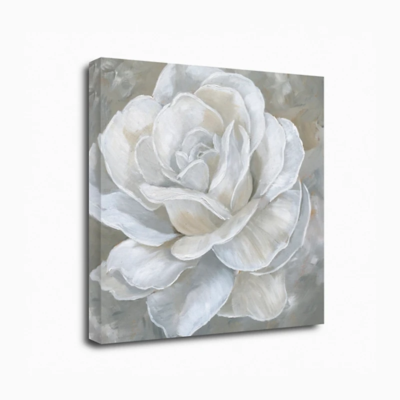 Bombshell Bloom II Canvas Art Print, 20x20 in.