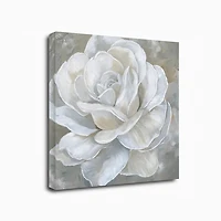 Bombshell Bloom II Canvas Art Print, 20x20 in.