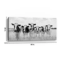 Grazing Pasture Canvas Art Print