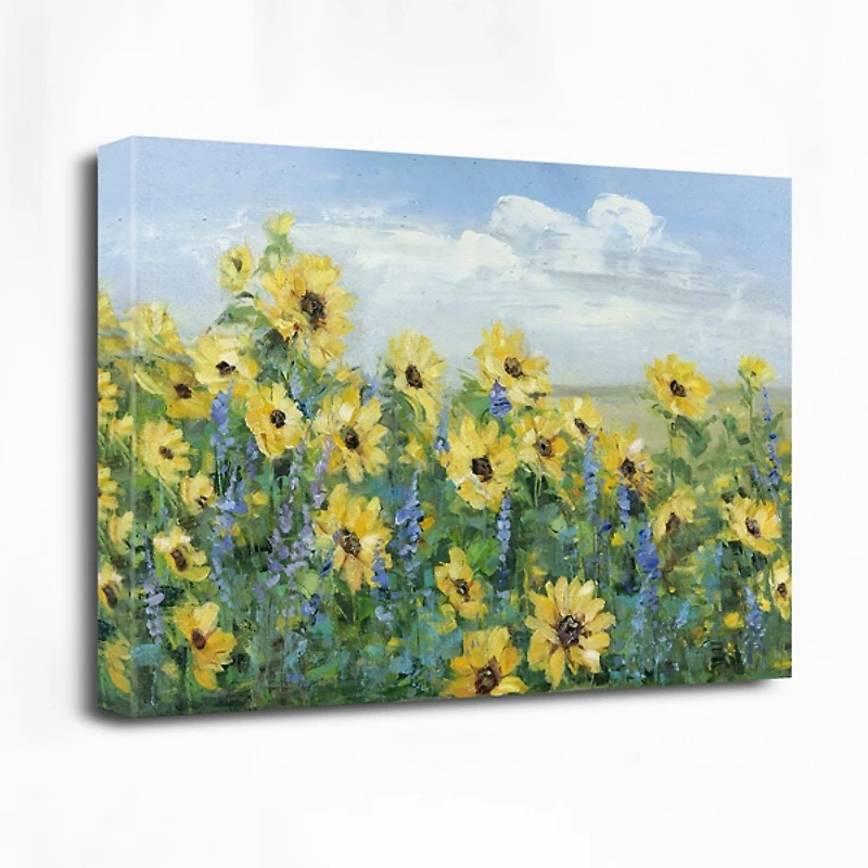 Sunflower Fields Forever Giclee Canvas Art Print