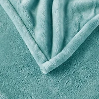 Light Green Ultra Soft Plush Heated Throw