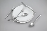 Silver Satin Metal Classic 20-pc. Flatware Set