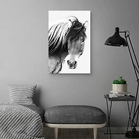 At First Glance Canvas Art Print