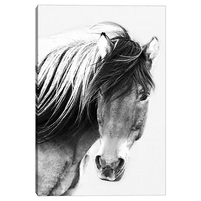 At First Glance Canvas Art Print