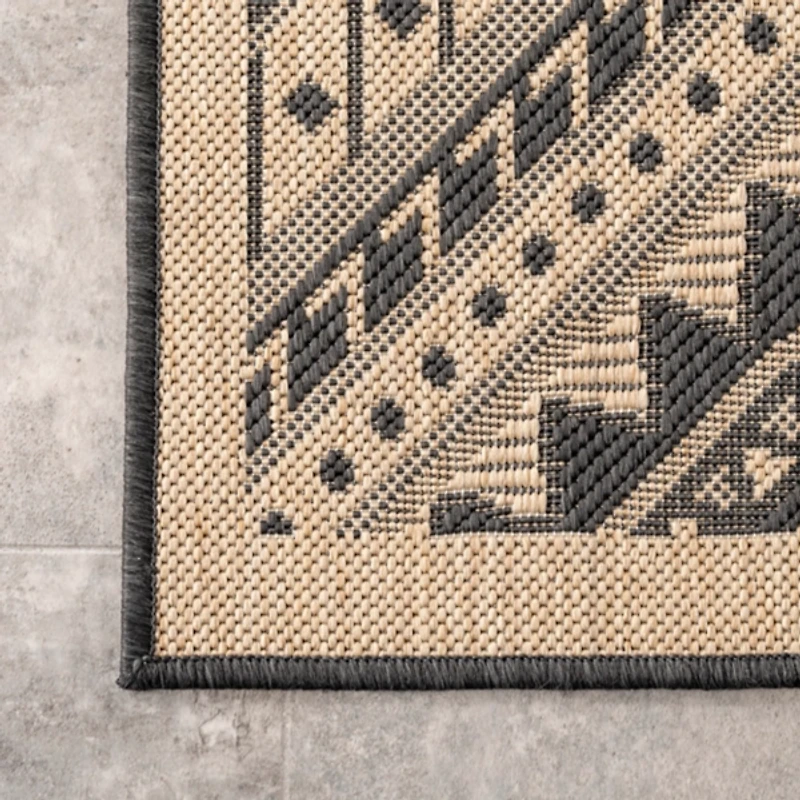 Landy Dark Gray Aztec Outdoor Rug, 8x10