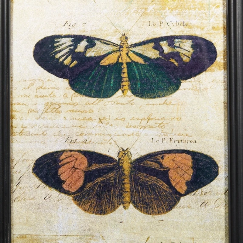Literary Butterflies Framed Art Prints, Set of 2