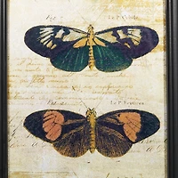 Literary Butterflies Framed Art Prints, Set of 2