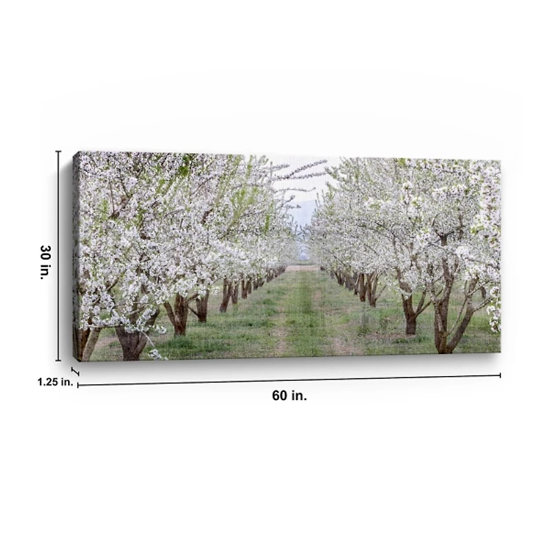Countryside Path Canvas Art Print