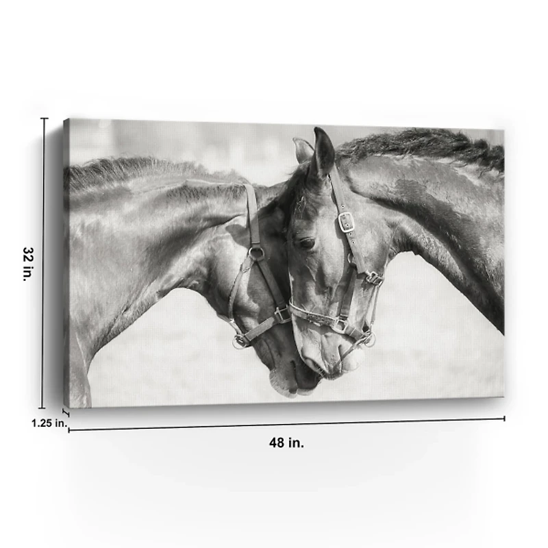 Friends Canvas Art Print