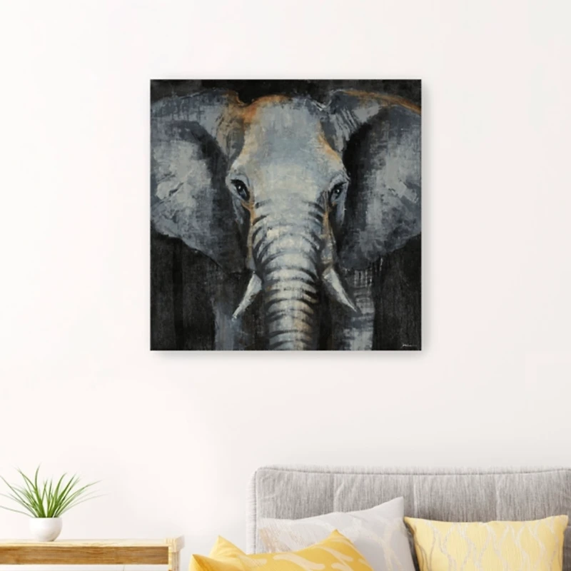 Safari Animals Elephant Canvas Art Print