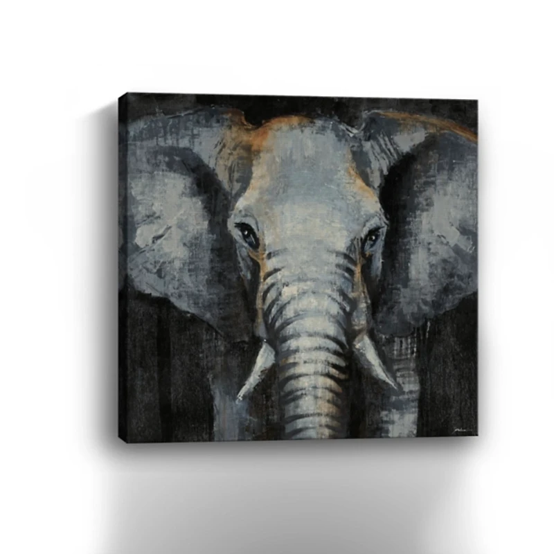 Safari Animals Elephant Canvas Art Print
