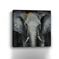 Safari Animals Elephant Canvas Art Print