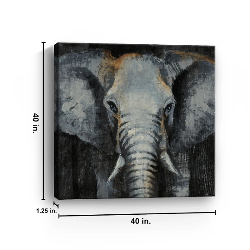 Safari Animals Elephant Canvas Art Print