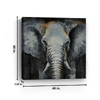 Safari Animals Elephant Canvas Art Print