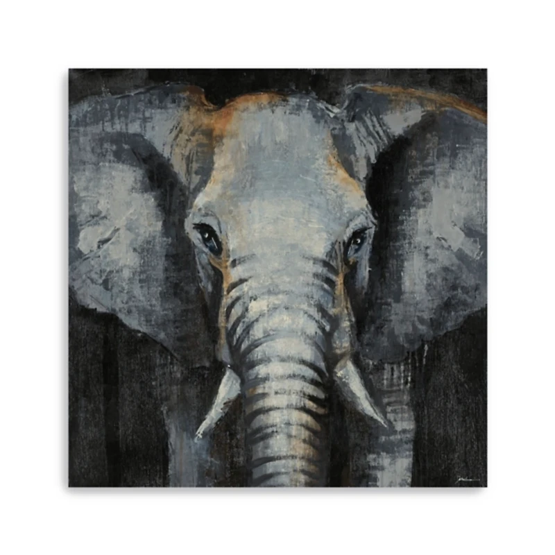 Safari Animals Elephant Canvas Art Print