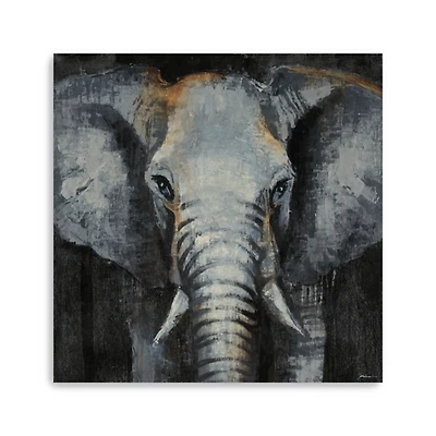 Safari Animals Elephant Canvas Art Print