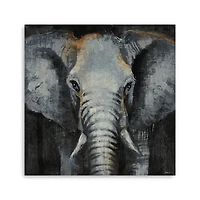 Safari Animals Elephant Canvas Art Print