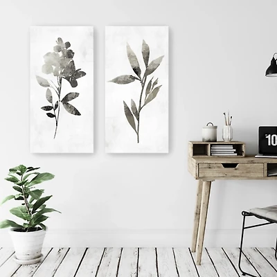 A Shadow of a Flower 2-pc. Canvas Art Set