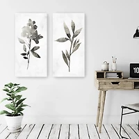 A Shadow of a Flower 2-pc. Canvas Art Set