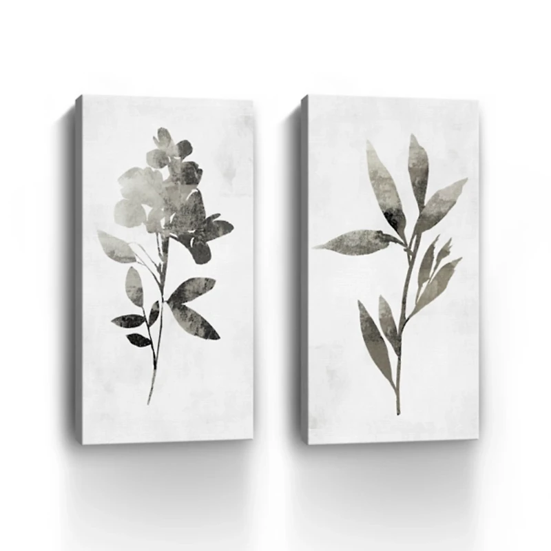 A Shadow of a Flower 2-pc. Canvas Art Set