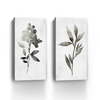A Shadow of a Flower 2-pc. Canvas Art Set