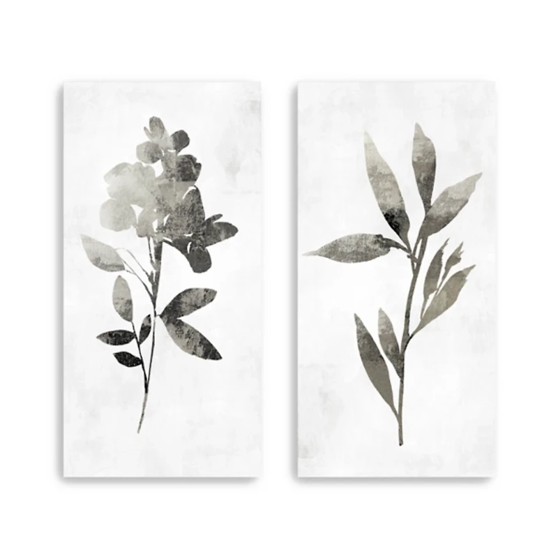 A Shadow of a Flower 2-pc. Canvas Art Set