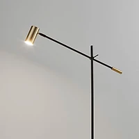 Antique Brass and Black Adjustable Arm Floor Lamp