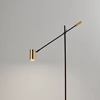 Antique Brass and Black Adjustable Arm Floor Lamp