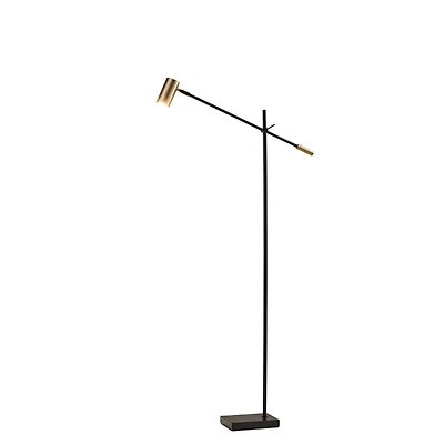 Antique Brass and Black Adjustable Arm Floor Lamp