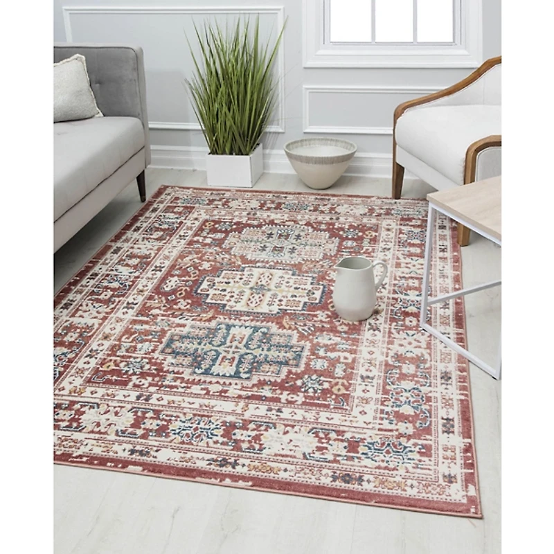 Dark Terra Cotta Bordered Area Rug, 8x10