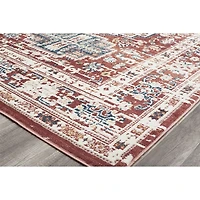 Dark Terra Cotta Bordered Area Rug, 8x10