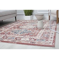 Dark Terra Cotta Bordered Area Rug, 8x10