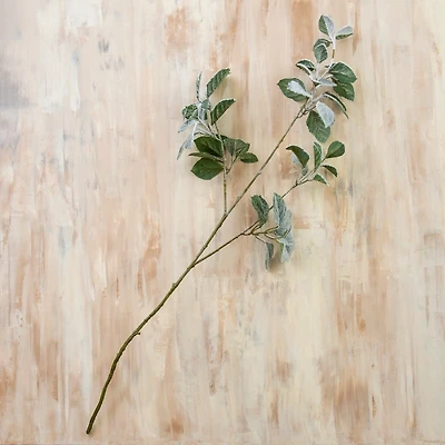 Snowy Eucalyptus Stems, Set of 3