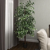 Green Ficus Potted Tree, 73 in.