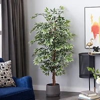 Green Ficus Potted Tree, 73 in.
