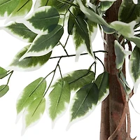 Green Ficus Potted Tree, 73 in.