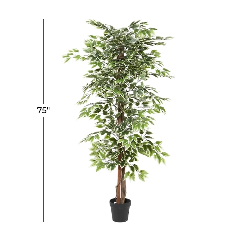 Green Ficus Potted Tree, 73 in.