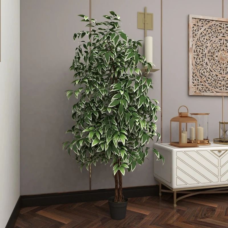 Green Ficus Potted Tree, 73 in.