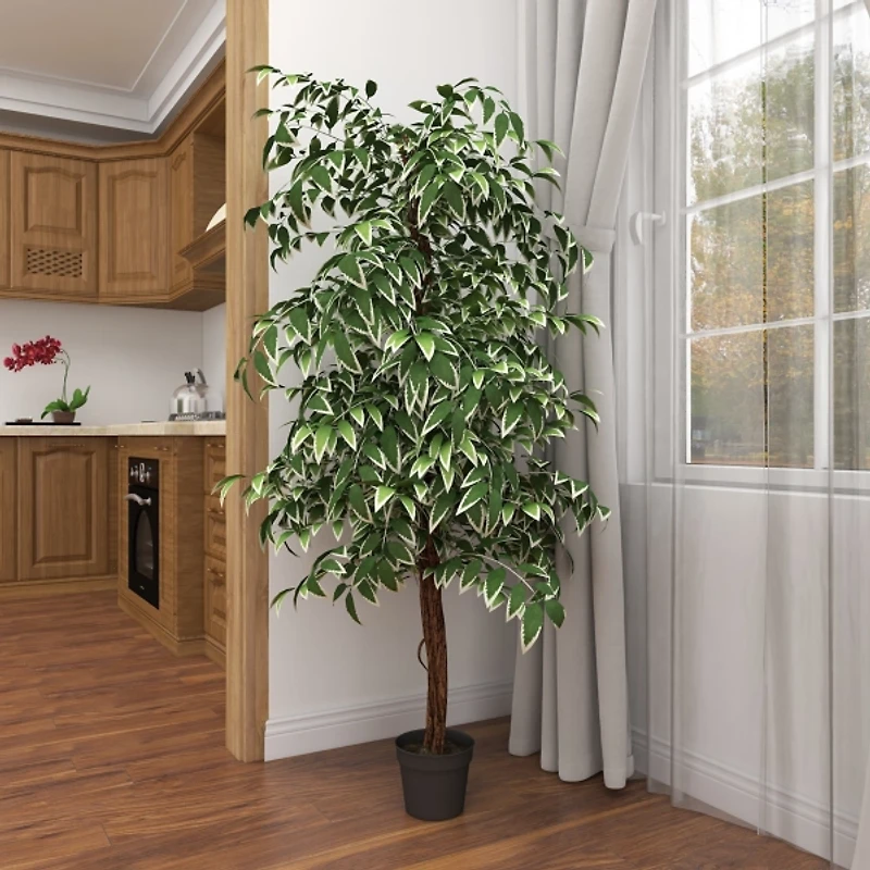 Green Ficus Potted Tree, 73 in.