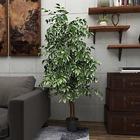 Green Ficus Potted Tree, 73 in.