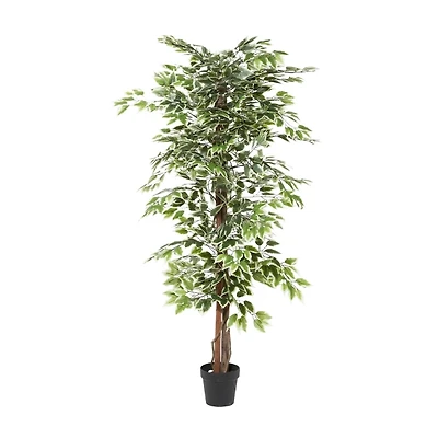 Green Ficus Potted Tree, 73 in.