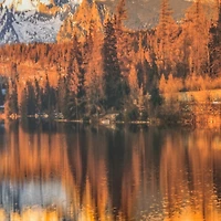 Identic Image Framed Tempered Glass Print