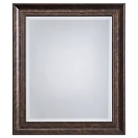 Dark Bronze Rectangular Frame Wall Mirror