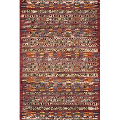 Red Multicolor Southwestern Outdoor Area Rug, 7x11
