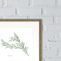 Herbs 4-pc. Gold Framed Art Print Set