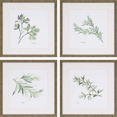 Herbs 4-pc. Gold Framed Art Print Set