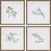 Herbs 4-pc. Gold Framed Art Print Set