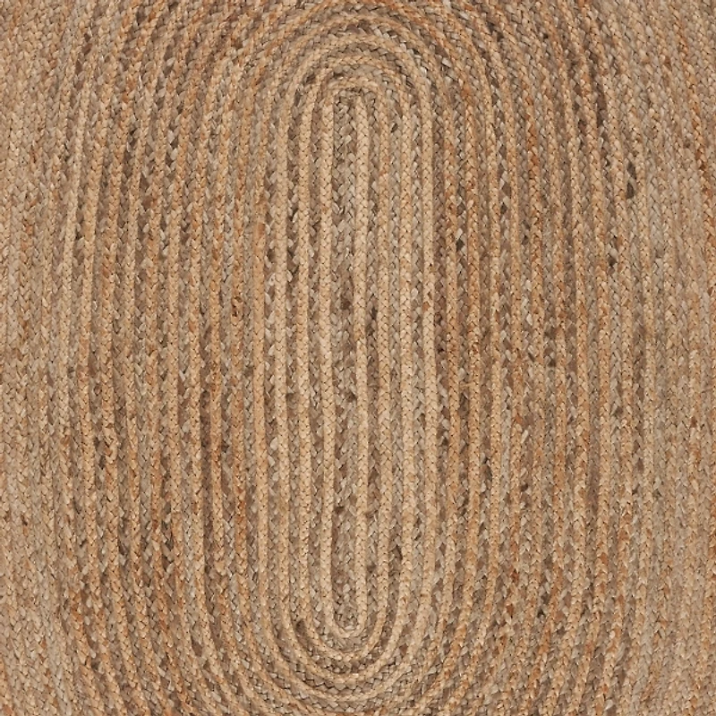 Natural Tonal Bordered Area Rug, 5x7