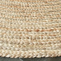 Natural Tonal Bordered Area Rug, 5x7