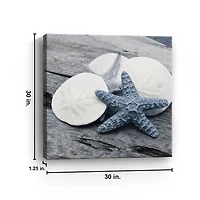 Driftwood Shell IV Canvas Art Print, 30x30 in.